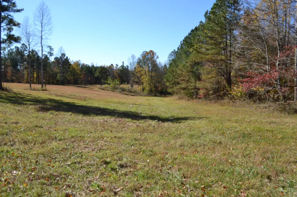0 Whitson Hollow Rd Red Boiling Springs, TN 37150