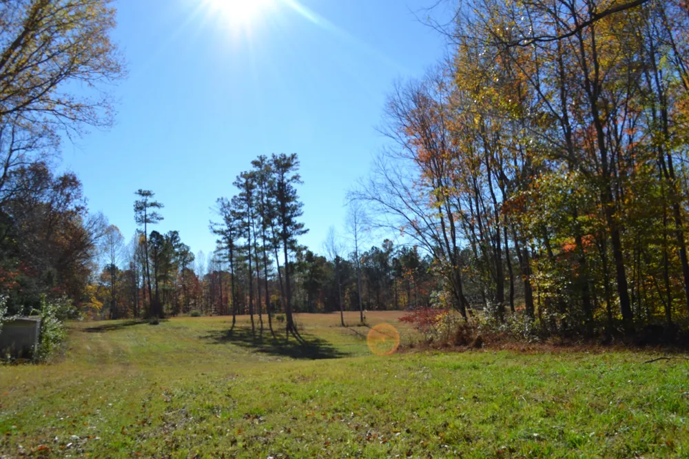 0 Whitson Hollow Rd Red Boiling Springs, TN 37150