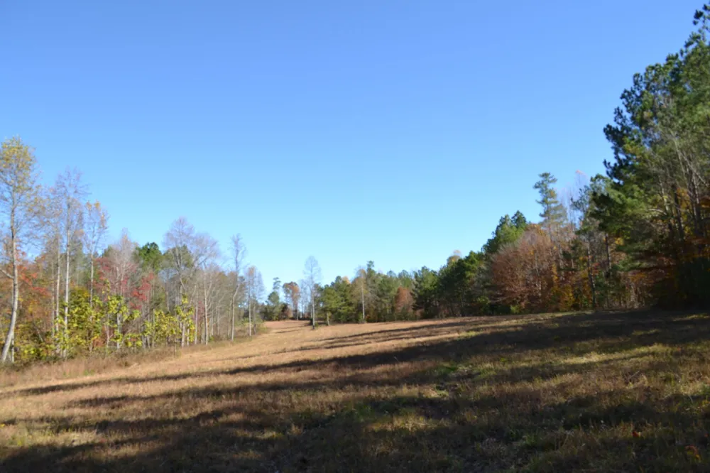 0 Whitson Hollow Rd Red Boiling Springs, TN 37150