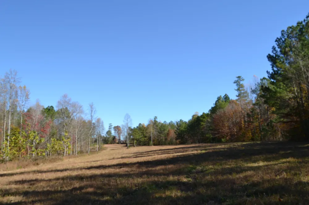 0 Whitson Hollow Rd Red Boiling Springs, TN 37150