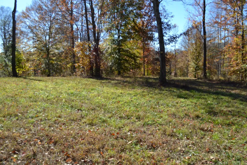0 Whitson Hollow Rd Red Boiling Springs, TN 37150