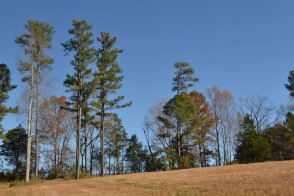 0 Whitson Hollow Rd Red Boiling Springs, TN 37150