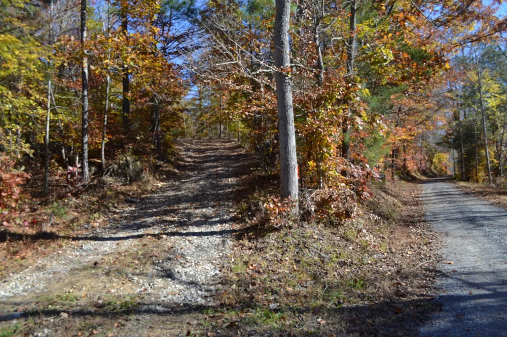 0 Whitson Hollow Rd Red Boiling Springs, TN 37150
