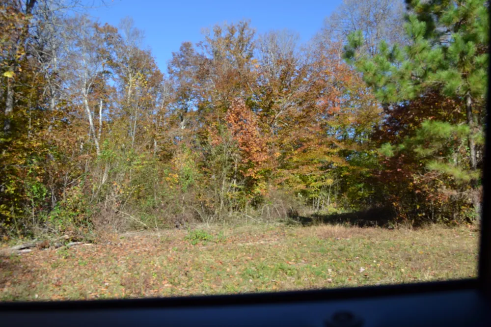 0 Whitson Hollow Rd Red Boiling Springs, TN 37150