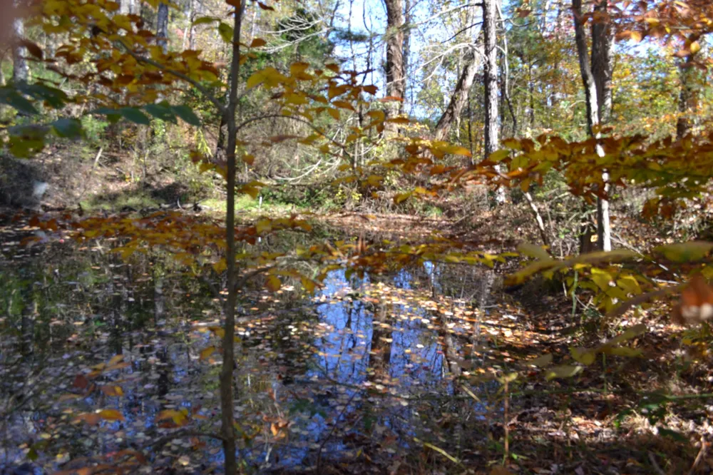 0 Whitson Hollow Rd Red Boiling Springs, TN 37150