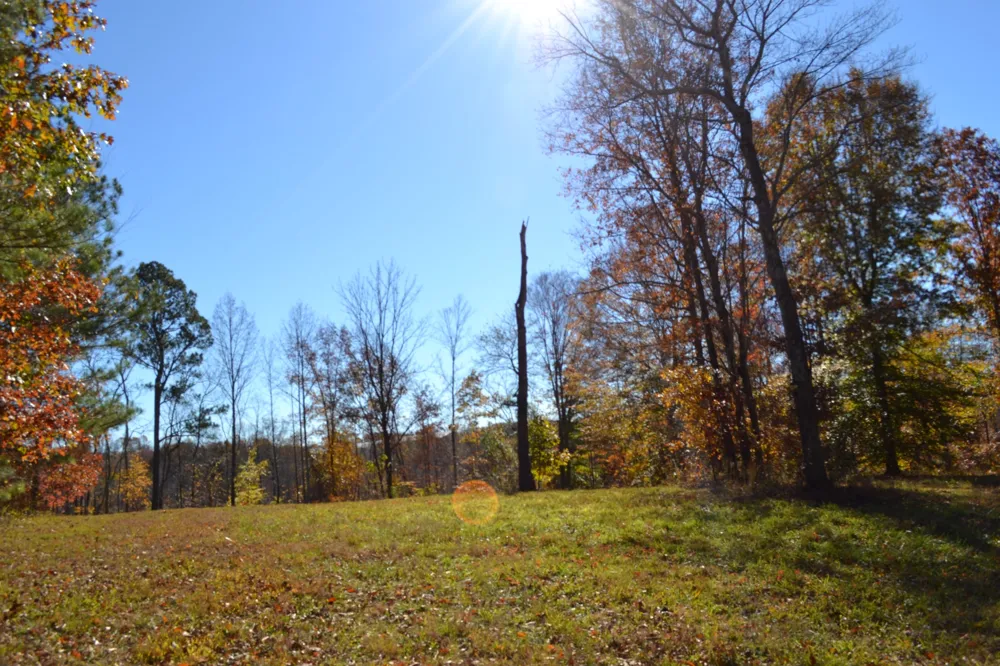 0 Whitson Hollow Rd Red Boiling Springs, TN 37150