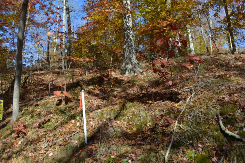 0 Whitson Hollow Rd Red Boiling Springs, TN 37150