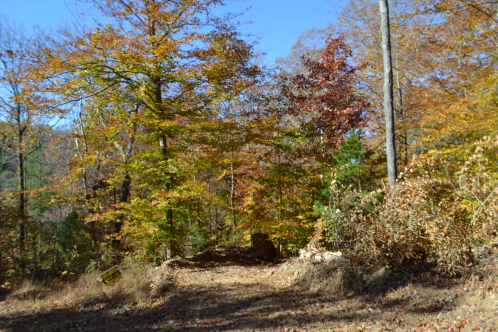0 Whitson Hollow Rd Red Boiling Springs, TN 37150