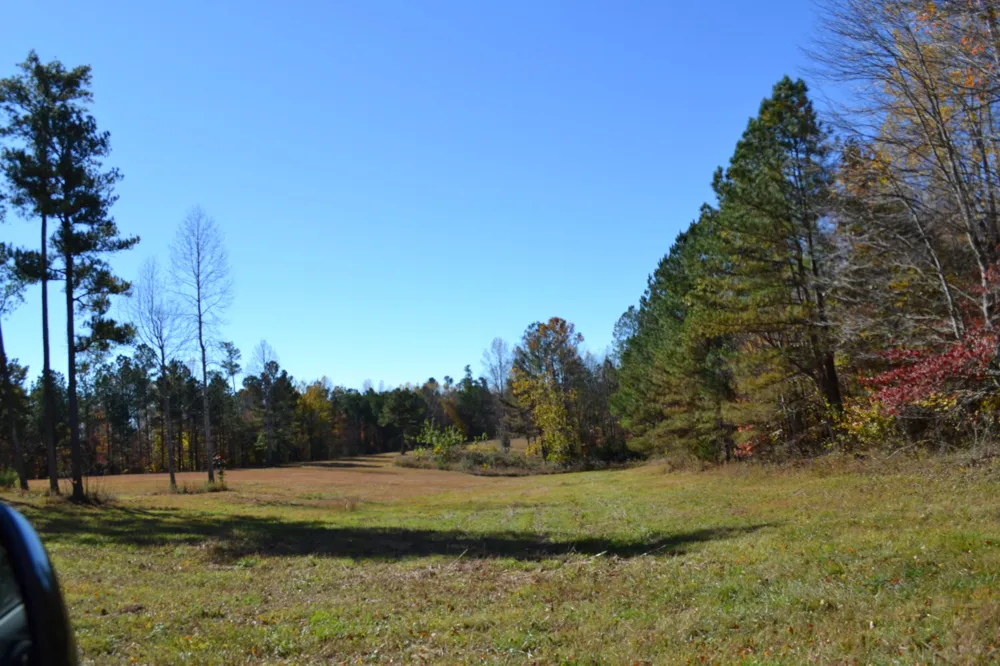 0 Whitson Hollow Rd Red Boiling Springs, TN 37150