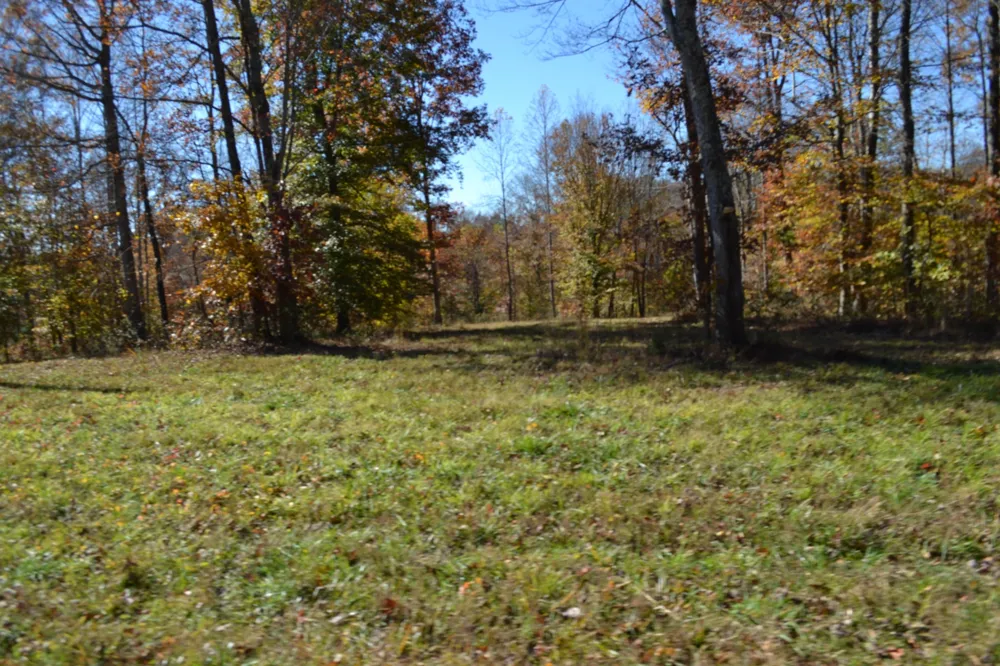 0 Whitson Hollow Rd Red Boiling Springs, TN 37150
