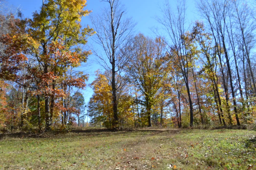 0 Whitson Hollow Rd Red Boiling Springs, TN 37150
