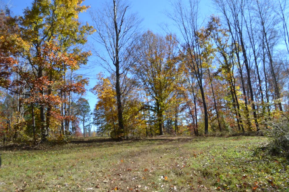0 Whitson Hollow Rd Red Boiling Springs, TN 37150