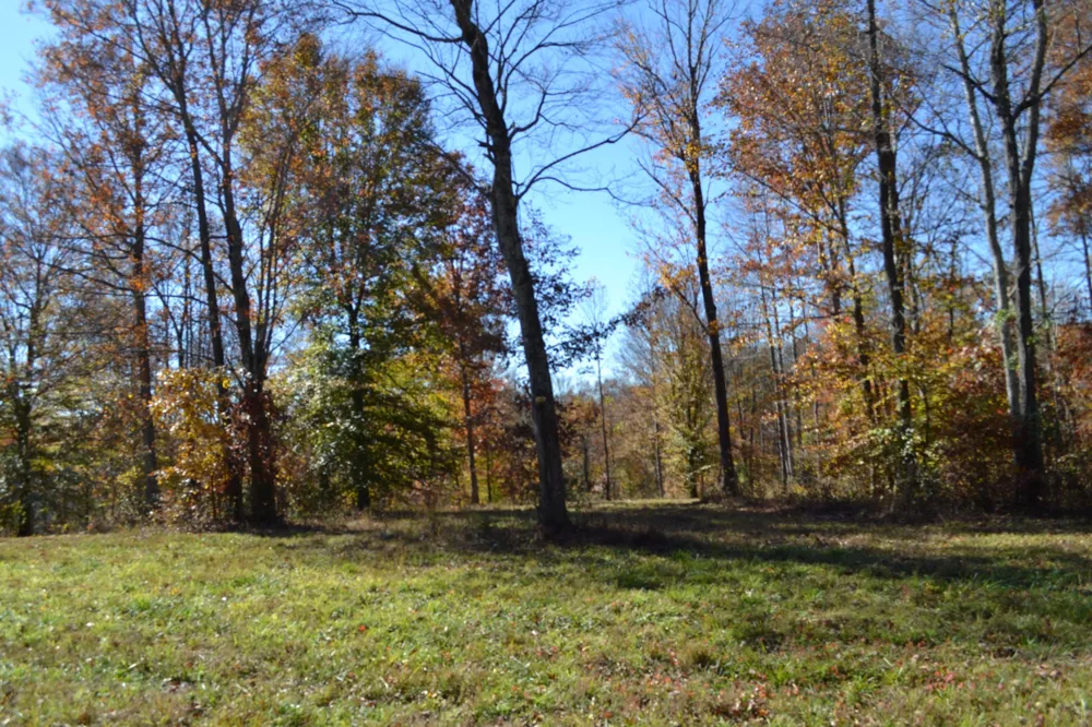 0 Whitson Hollow Rd Red Boiling Springs, TN 37150
