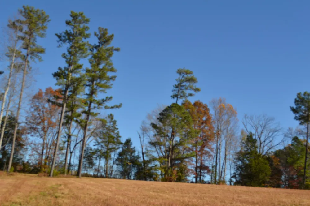 0 Whitson Hollow Rd Red Boiling Springs, TN 37150