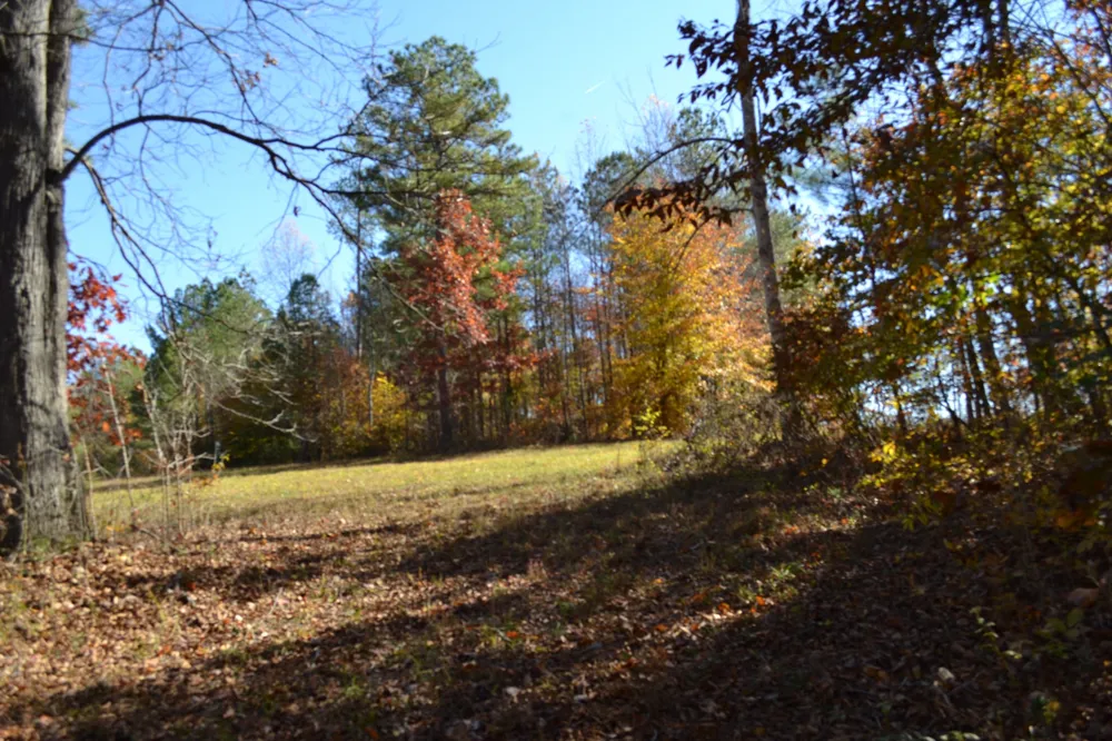 0 Whitson Hollow Rd Red Boiling Springs, TN 37150