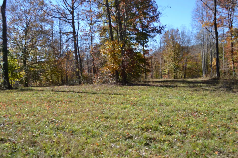 0 Whitson Hollow Rd Red Boiling Springs, TN 37150
