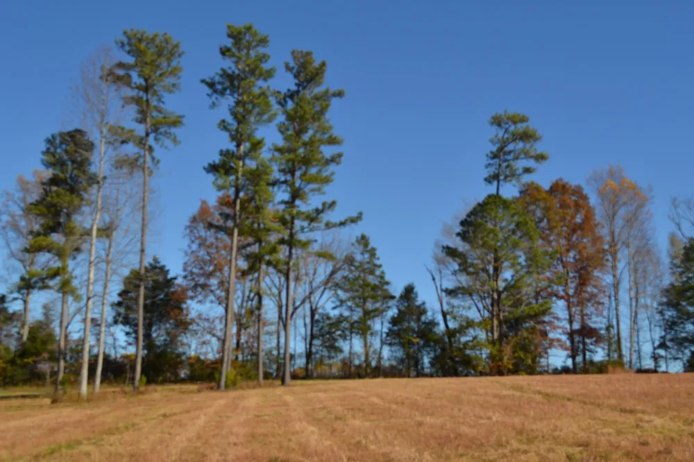 0 Whitson Hollow Rd Red Boiling Springs, TN 37150