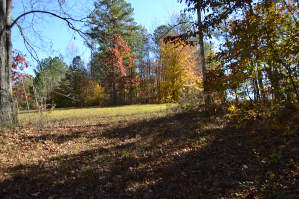 0 Whitson Hollow Rd Red Boiling Springs, TN 37150