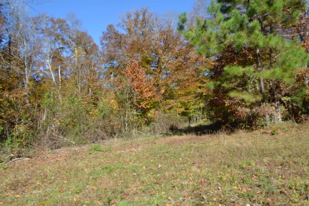 0 Whitson Hollow Rd Red Boiling Springs, TN 37150