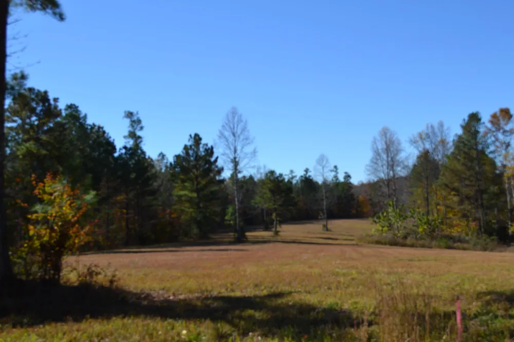 0 Whitson Hollow Rd Red Boiling Springs, TN 37150
