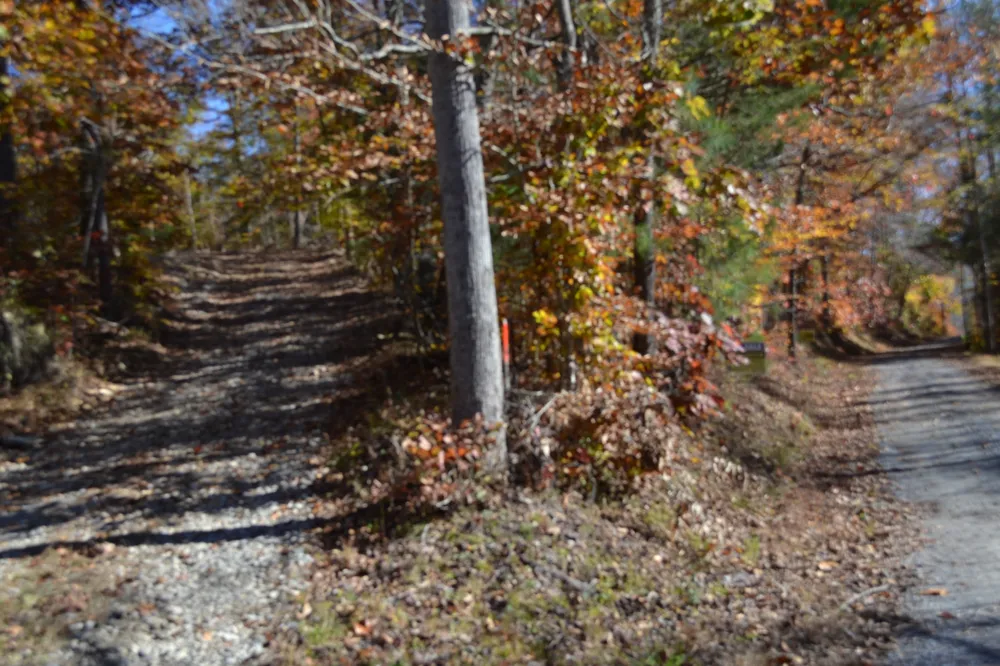 0 Whitson Hollow Rd Red Boiling Springs, TN 37150
