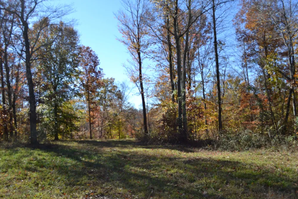 0 Whitson Hollow Rd Red Boiling Springs, TN 37150