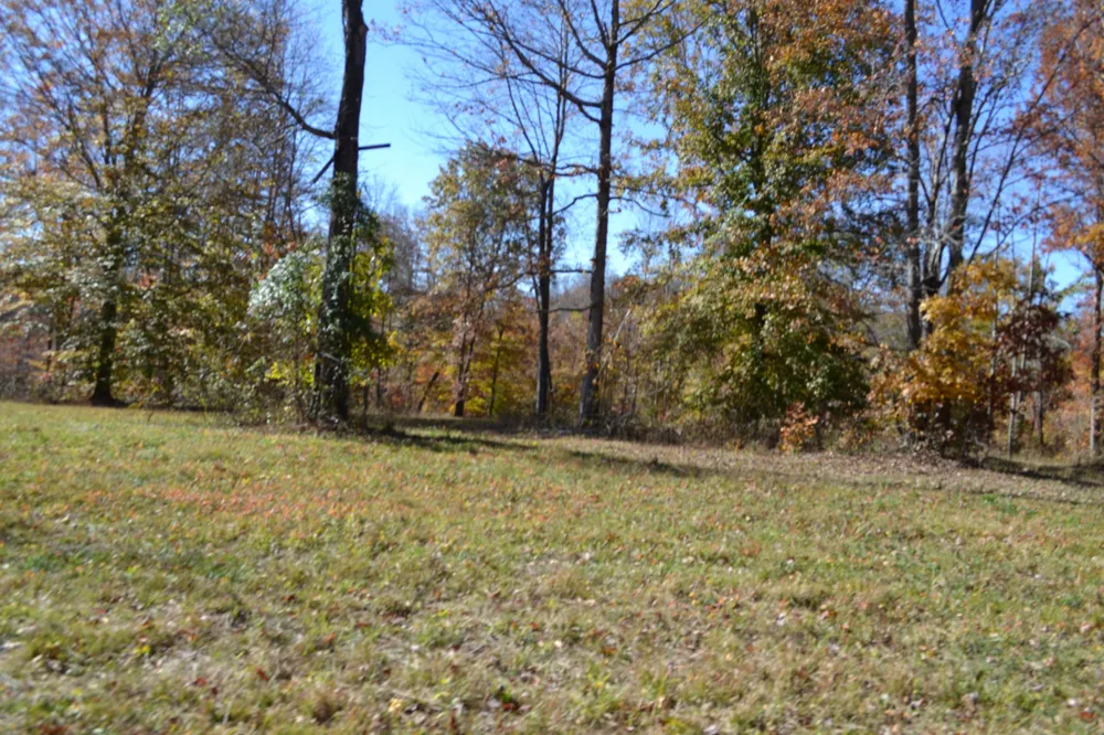 0 Whitson Hollow Rd Red Boiling Springs, TN 37150