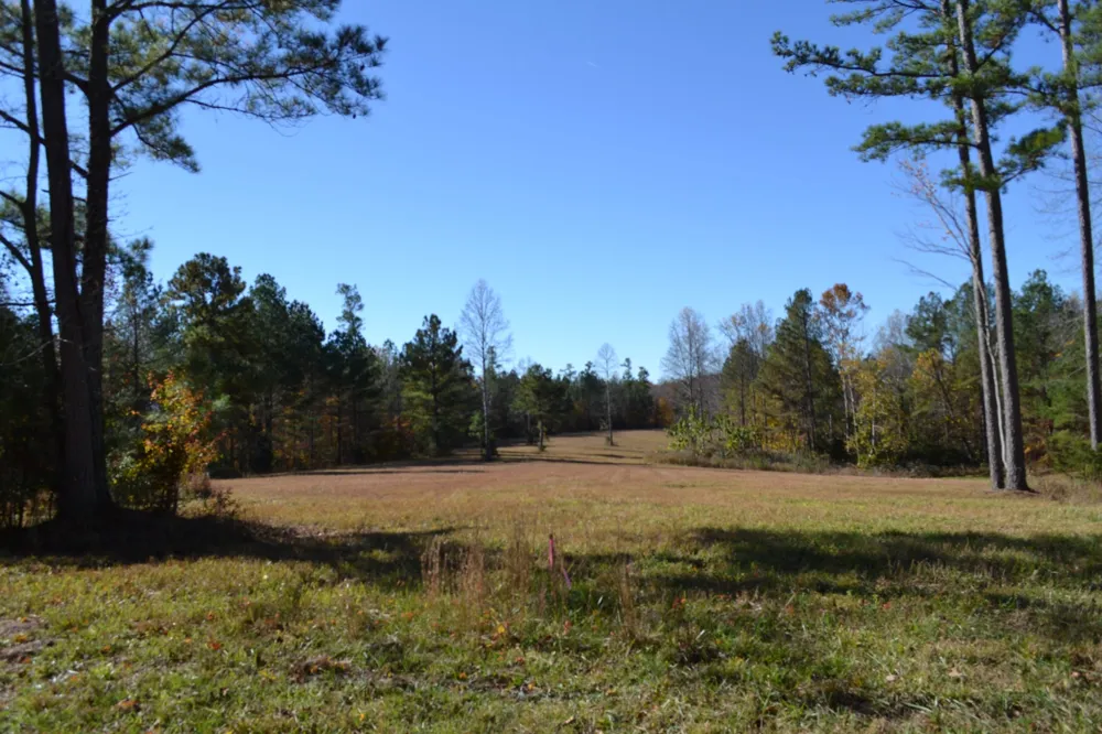 0 Whitson Hollow Rd Red Boiling Springs, TN 37150