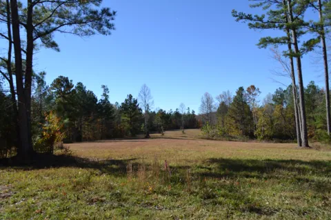 0 Whitson Hollow Rd
