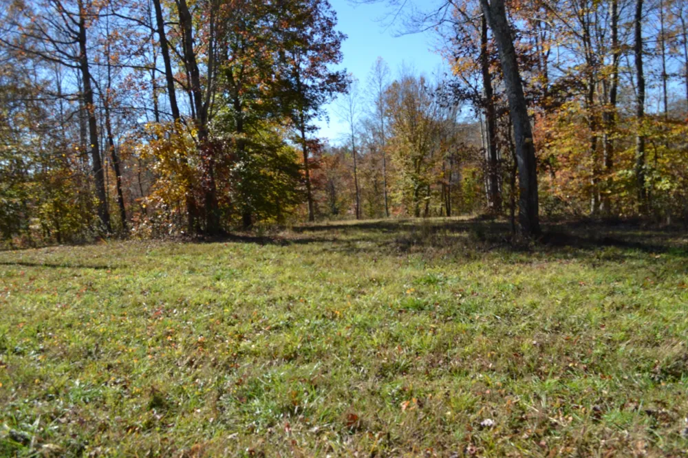0 Whitson Hollow Rd Red Boiling Springs, TN 37150