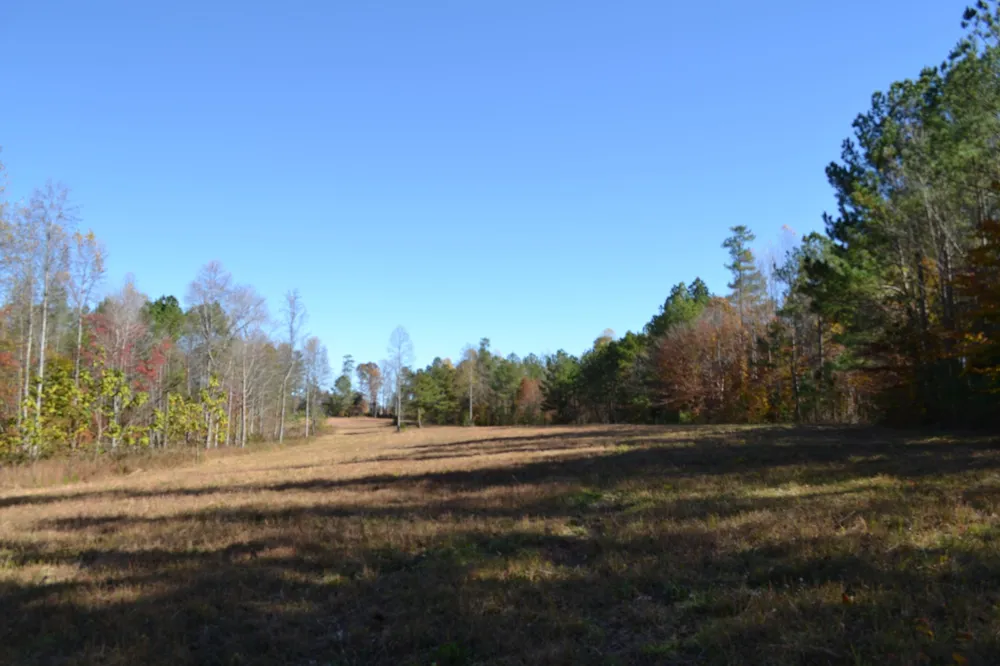 0 Whitson Hollow Rd Red Boiling Springs, TN 37150