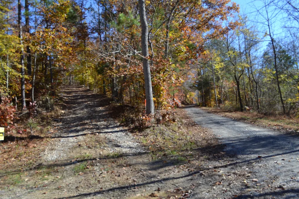 0 Whitson Hollow Rd Red Boiling Springs, TN 37150