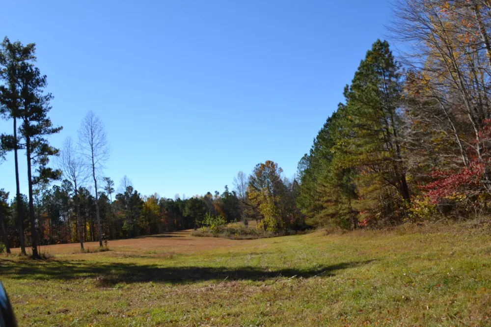 0 Whitson Hollow Rd Red Boiling Springs, TN 37150