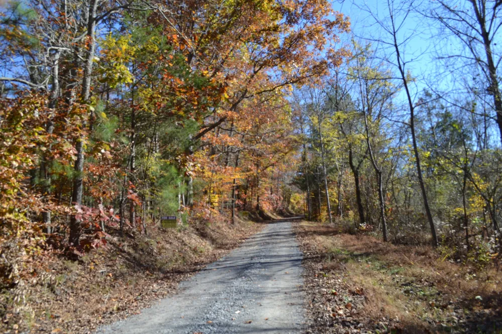 0 Whitson Hollow Rd Red Boiling Springs, TN 37150