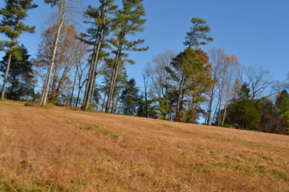0 Whitson Hollow Rd Red Boiling Springs, TN 37150