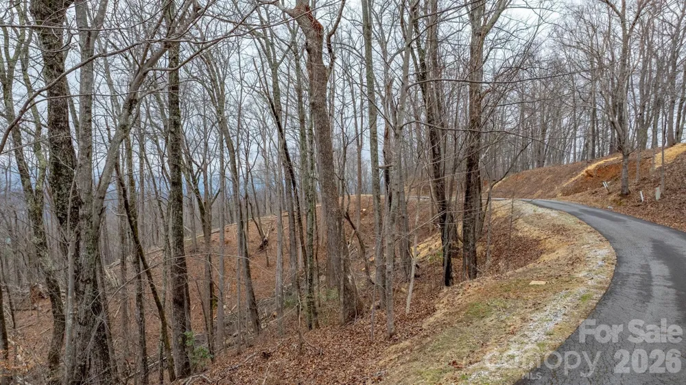 0 Mountain Crest Drive S #39 Marion, NC 28752