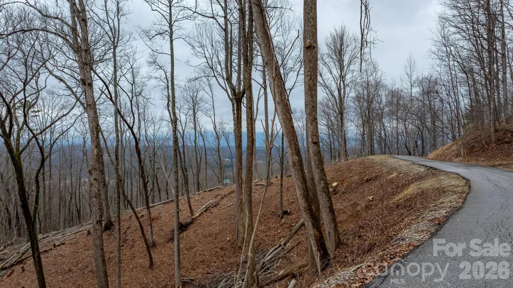 0 Mountain Crest Drive S #39 Marion, NC 28752