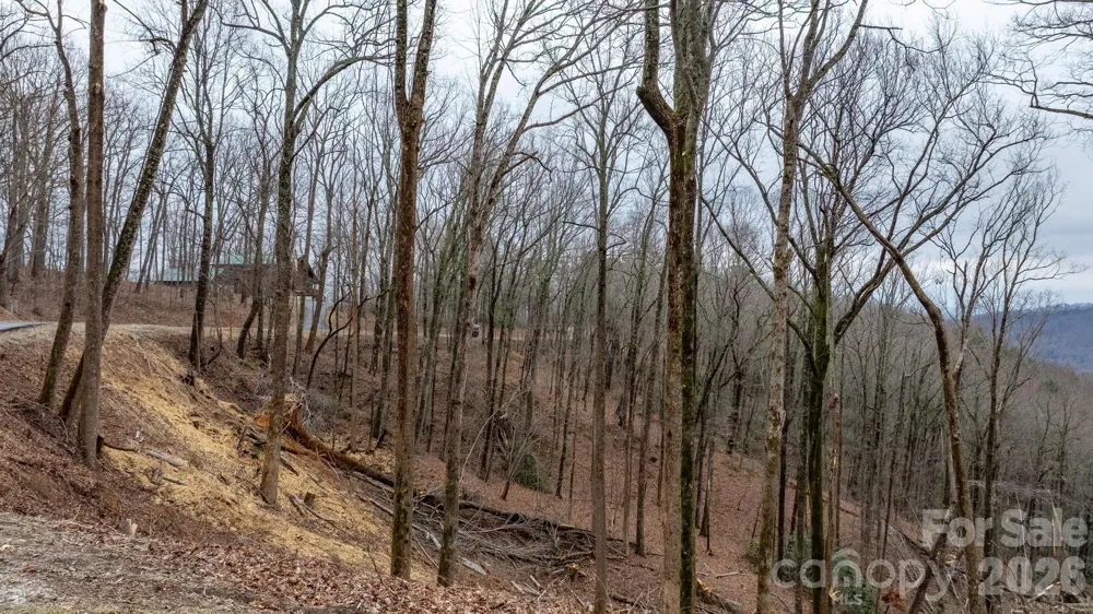 0 Mountain Crest Drive S #39 Marion, NC 28752