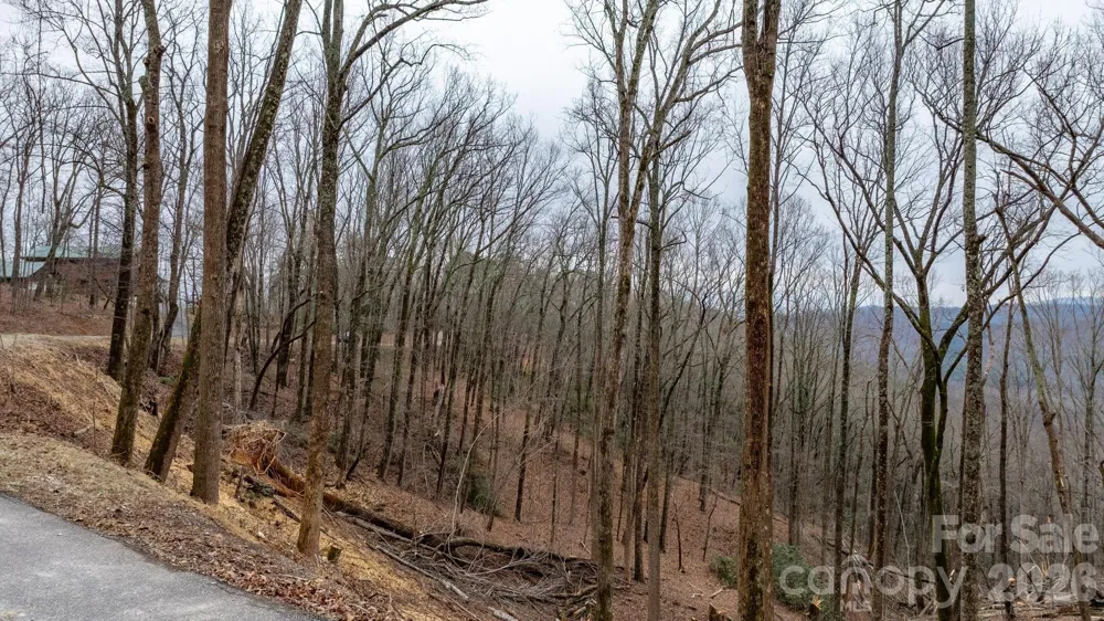 0 Mountain Crest Drive S #39 Marion, NC 28752