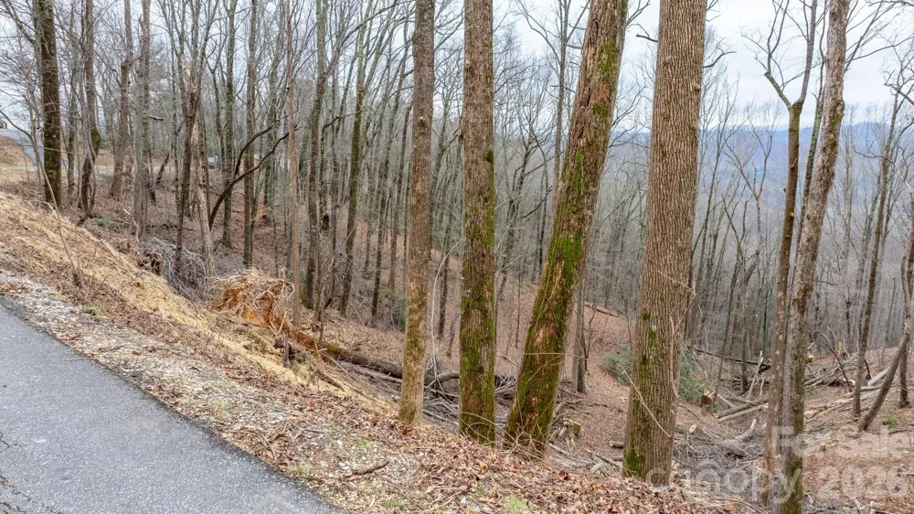 0 Mountain Crest Drive S #39 Marion, NC 28752