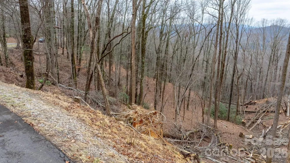 0 Mountain Crest Drive S #39 Marion, NC 28752