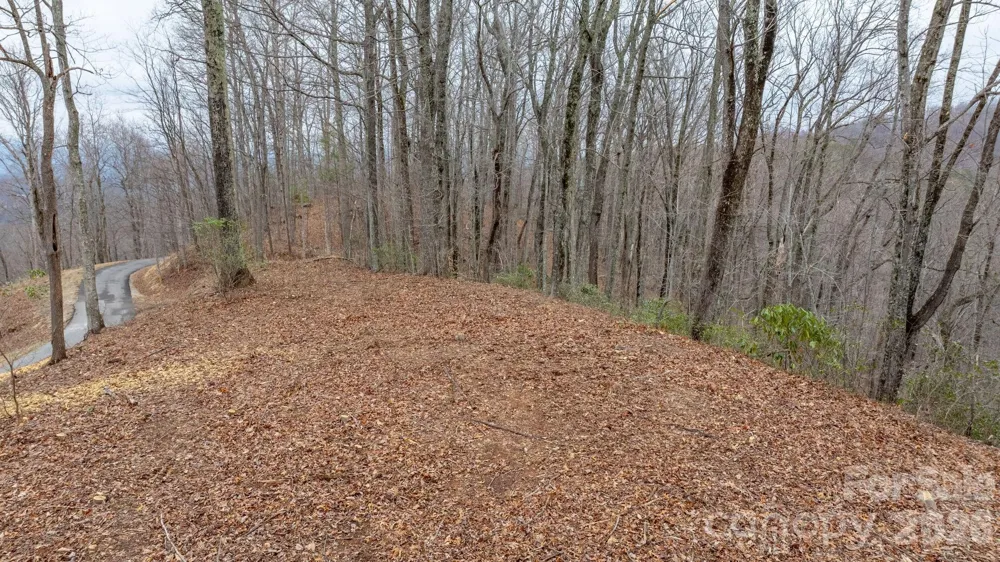 0 Mountain Crest Drive S #40 Marion, NC 28752