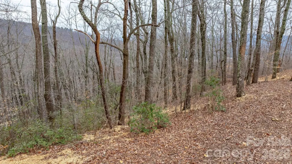 0 Mountain Crest Drive S #40 Marion, NC 28752