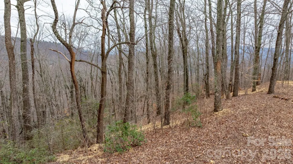 0 Mountain Crest Drive S #40 Marion, NC 28752