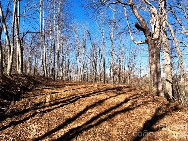 Lot 9 Vilas Overlook Drive #9 Vilas, NC 28692