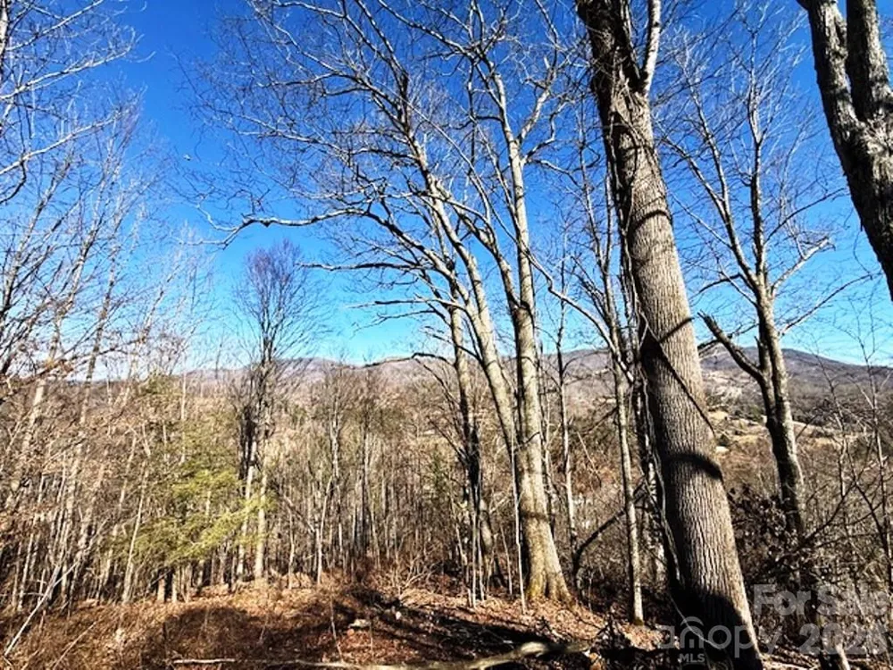 Lot 9 Vilas Overlook Drive #9 Vilas, NC 28692