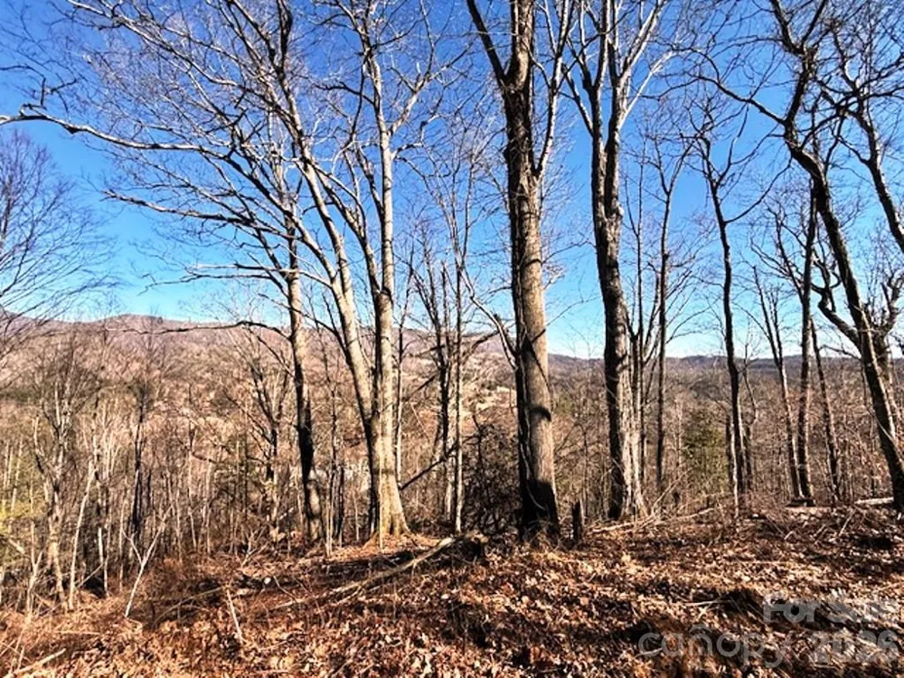 Lot 9 Vilas Overlook Drive #9 Vilas, NC 28692