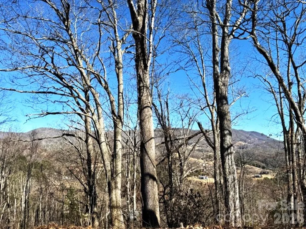 Lot 9 Vilas Overlook Drive #9 Vilas, NC 28692