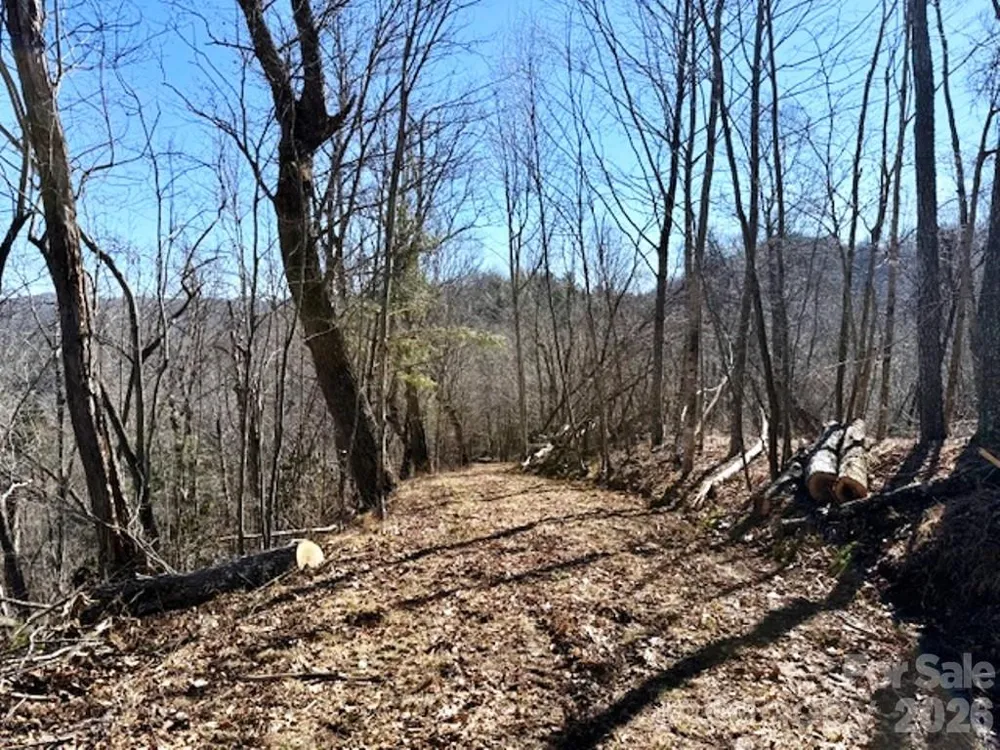 Lot 9 Vilas Overlook Drive #9 Vilas, NC 28692