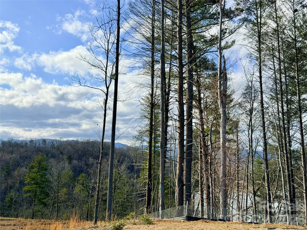TBD Bluehill Parkway #133 Marion, NC 28752